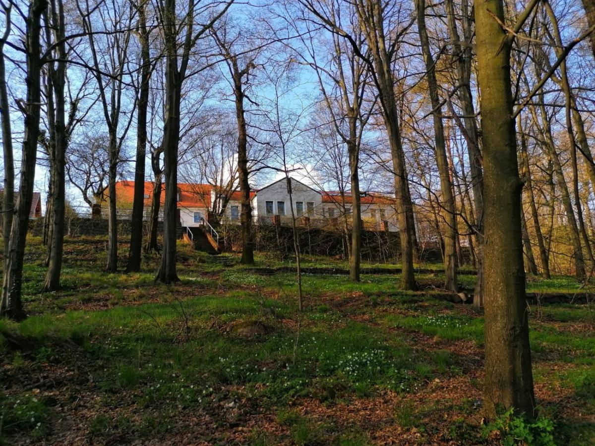 Hotel Kreuzbergbaude Beim Berzdorfer See Mit Wohlfuehl Sauna Markersdorf Екстериор снимка